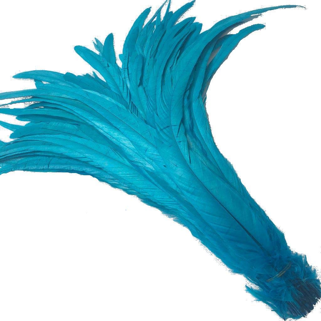 Shekyeon 12-14inch Rooster Tail Feather Used Hats Costume Decoration Pack of 50