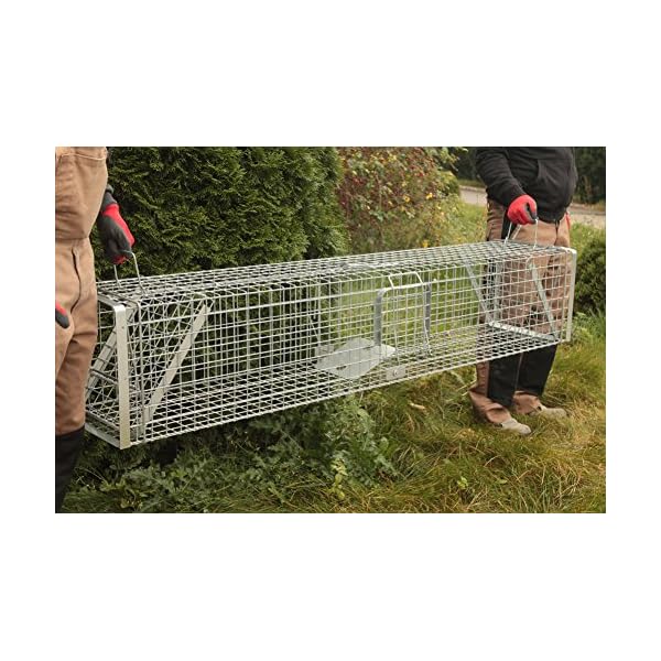 Holtaz Hardy Super Starke Falle Marderfalle Katzenfalle Fuchsfalle Biberfalle Tierfalle Kastenfalle Drahtfalle WaschbÃ¤rfalle 2 TÃ¼ren, GrÃ¶Ãe: 180x34x34 cm Mit Extra KÃ¶der – Bild 5