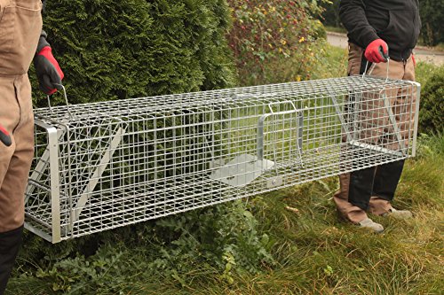 Holtaz Hardy Super Starke Falle Marderfalle Katzenfalle Fuchsfalle Biberfalle Tierfalle Kastenfalle Drahtfalle Waschbärfalle 2 Türen, GröÃe: 180x34x34 cm Mit Extra Köder – Bild 5