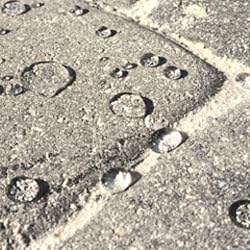 Tile & Stone Sealer