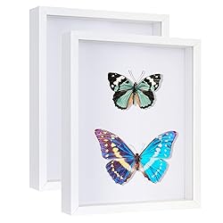Califortree 2 Packs 8x10 Shadow Box Frame - Memory