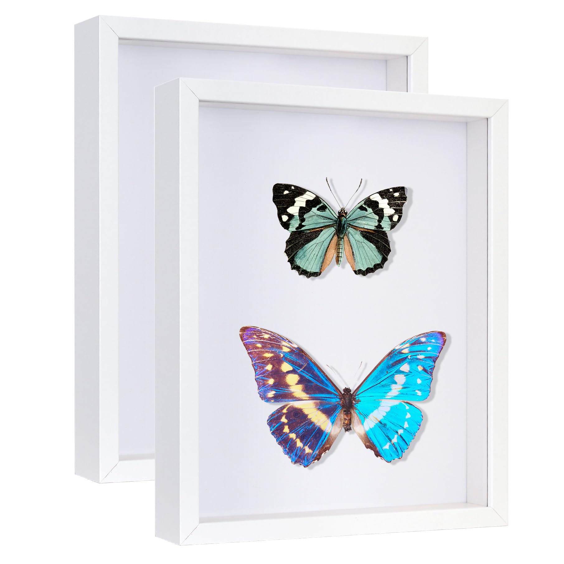 Califortree 2 Packs 8x10 Shadow Box Frame - Memory