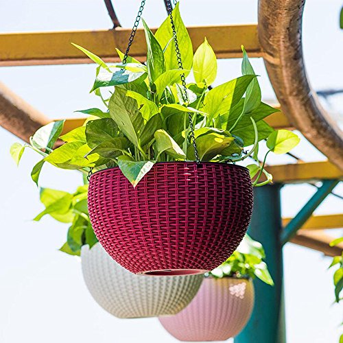 Growers Hanging Basket, Indoor Outdoor Hanging Planter Basket , 10.4 in