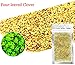 Aquarium Grass Plants Seeds,Aquatic Four-leaved Clover Carpet Water Grass,Oxygenating Weed Live Pond Plant Seeds,Fish Aquatic Water Grass Decor,Easy to Plant Grow Maintain,XYC-10G