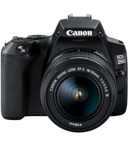 Amazon.com : Canon EOS 250D (Rebel SL3) DSLR Camera with Canon EF