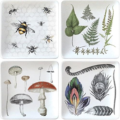 Montgomery Street Nature Themed 4.75-inch Square Stoneware Plates, Set of 4