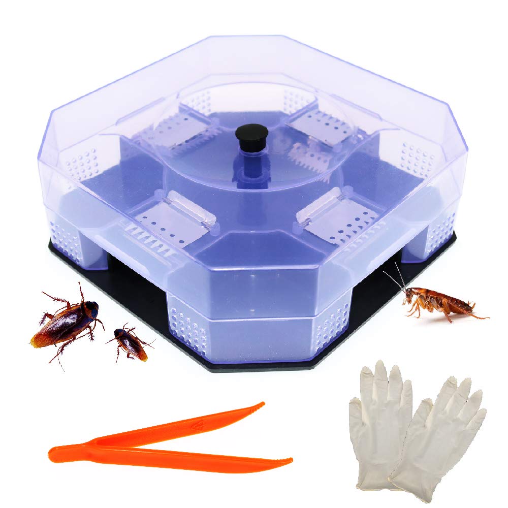 BITEYI Cockroach Catcher Roach Traps Reusable and Non-Toxic Eco-Friendly Roach Killer Pest Control Bait Trap,Safe for Kid and Pet