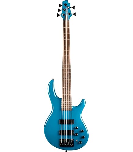 cort ベース 赤 Amazon.com: Cort, 4-String Bass Guitar, Right, Open Pore