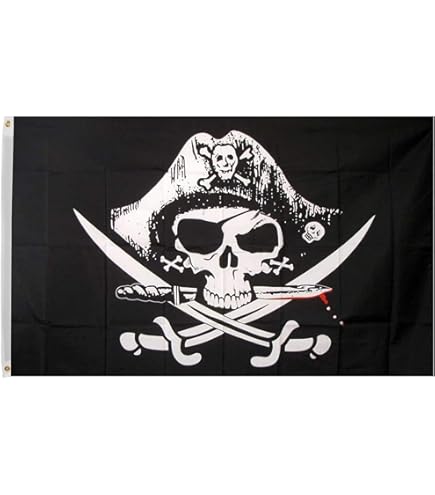 Amazon.com : AhfuLife Pirate Flag for Outside 3x5 Ft, Large Jolly