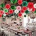 Hanging Party Decorations Set Tissue Paper Fan Paper Pom Poms Flowers and Honeycomb Ball for Christmas Wedding Engagement Graduation Party Decor Green Red Kit
