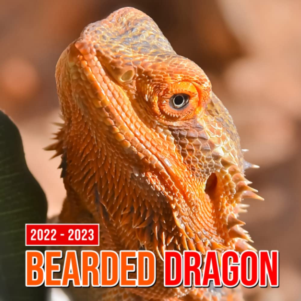Calendrier Gn 2023 Bearded Dragon 2022 Calendar: Lizard Species Pictures Gift Idea / White  Elephant / Birthday Present 2022-2023 Monthly Planner Kalendar Calendario  Calendrier: Case, Raymond: 9798404222227: Amazon.com: Books