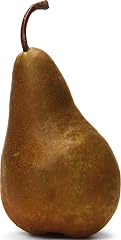 Organic Pear Bosc