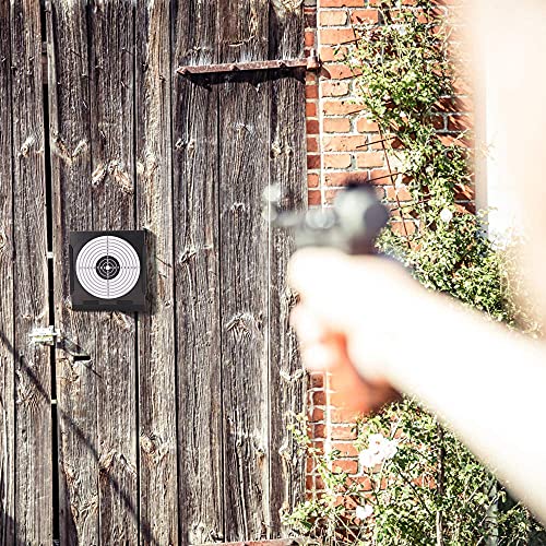 Sealive Metal Airsoft Targets for Shooting with Trap, Mini BB Gun