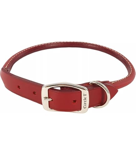 Amazon.com : Coastal Pet - Circle T - Latigo Leather Round Dog