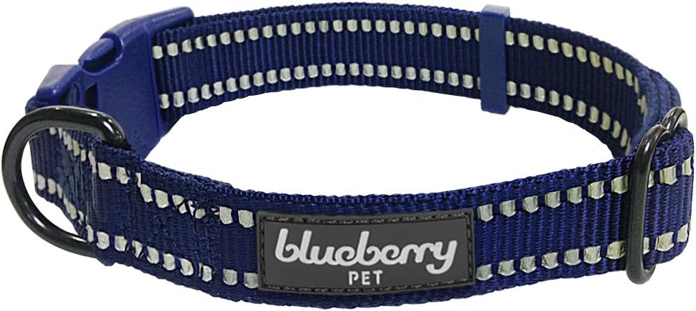 blueberry pet collars amazon
