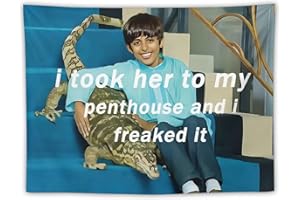 BionZax I Took Her To My Penthouse and I Freaked It Ravi Tapestry for Bedroom Aesthetic, Funny and Meme Tapestries for College Dorm and Living Room - Small Size 30"x40"