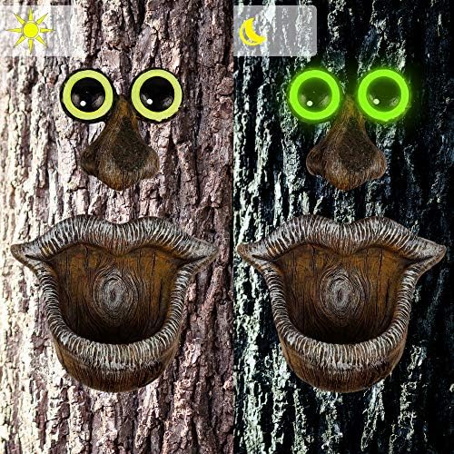 Tree face sculpture with eyes, nose, and mouth, serving as a bird feeder.