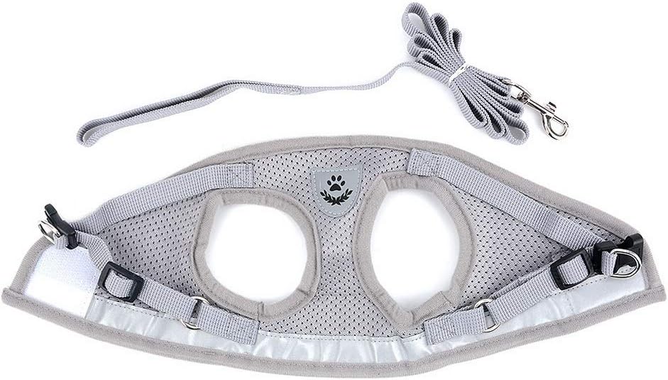 Zunea No Pull Dog Harness for Small Dog Cat Reflective Breathable Soft Mesh Padded Step-in Vest Harnesses Leash Set - Image 4