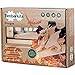 Timberkits - Dragon - Mechanical Wooden Construction Kit
