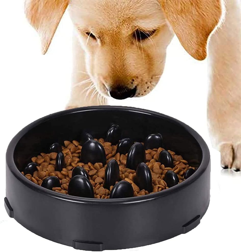 GWL Slow Eating Dog Bowl, NonSlip Pet Feeder, Fun Interactive Pet Bowl