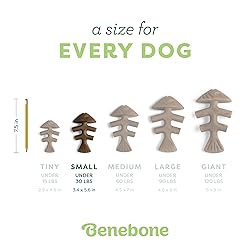 Benebone Fishbone Durable Dog Chew Toy for
