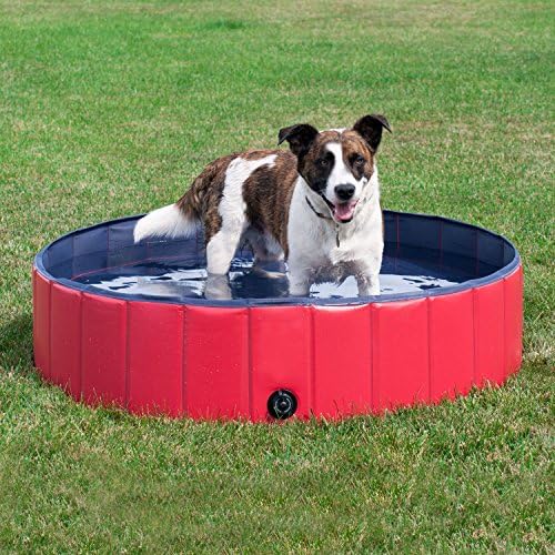 Paw Essentials Foldable PVC Dog Cat Swimming Pool Bathing Tub Pet Outdoor Swimming Playing Pond - (Red, Medium 48" x 12")