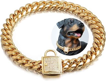 Cool dog chains Clearance