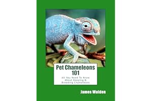 Pet Chameleons 101: All You Need To Know About Keeping & Breeding Chameleons