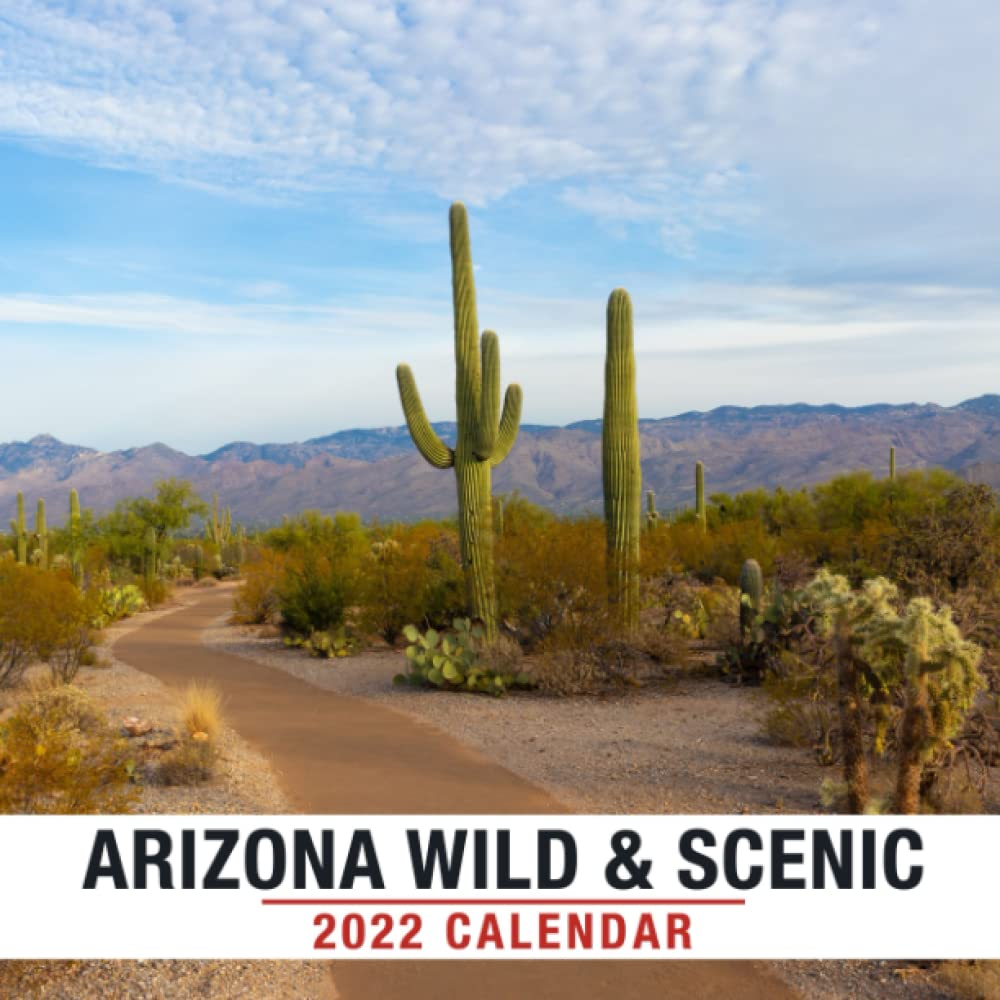Calendrier Amir 2023 Arizona Wild & Scenic 2022 Calendar: Arizona Landscape Calendar 2022,  January 2022 - December 2022, 12 Months, Official Squared Monthly, Mini  Planner ... Calendrier | Bonus Last 4 Months 2021: Smith, Brown, Smith:  9798773506829: Amazon.com: Books
