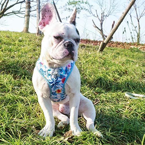 voopet Beach Style Soft Dog Harness, Puppy Breathable Mesh Front Padded Vest Harness with Leash, Island Style Pets Adjustable No-Pull Walking Harness - Easy Control for Small Dogs & Cats