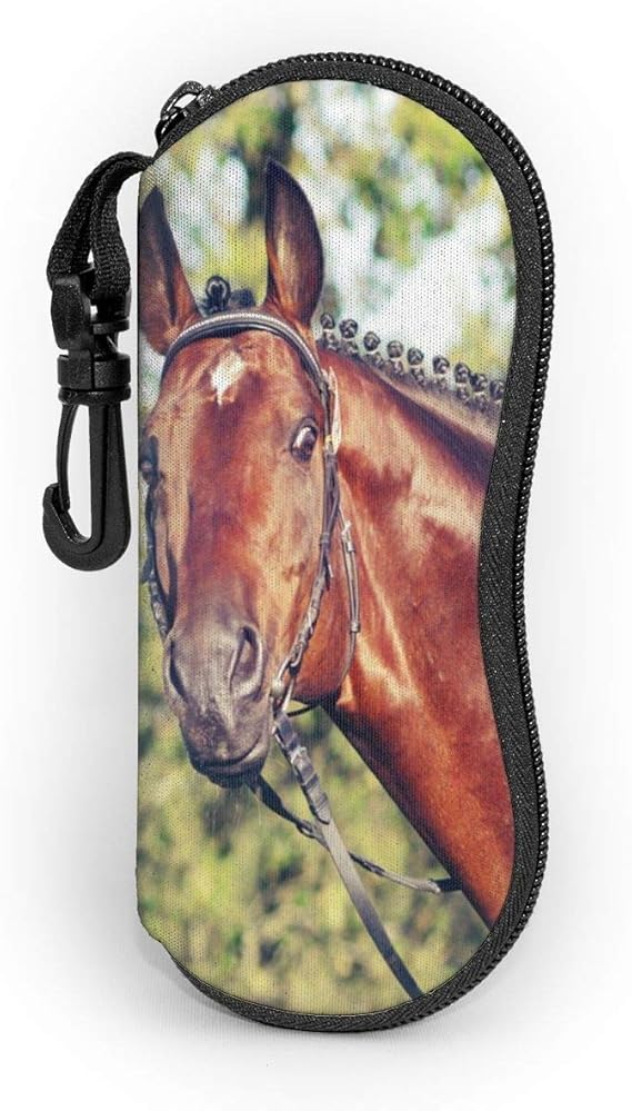 Perfect Gift Eyeglasses Case Beautiful Stallion Animal Horse Light