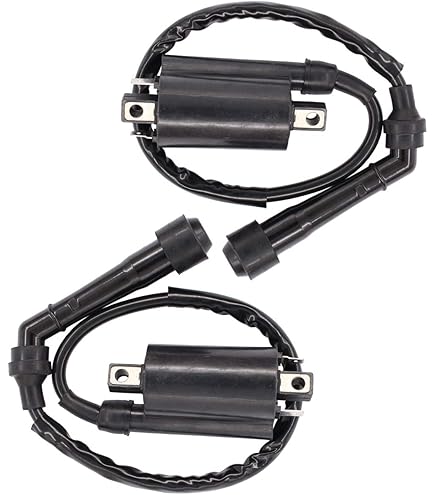 Amazon.com: Caltric Set Of 2 Ignition Coils Compatible with