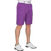 Royal & Awesome Men's Golf Shorts, Golf Shorts for Men, Golf Shorts Men