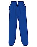 Champion Men's Cotton Max Fleece Pant, Sport Royal