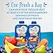 Go & Grow by Similac Fruit and Veggie Pouches with OptiGRO, Apple, Butternut Squash, Banana, Blueberry Puree, For Toddlers, Organic Baby Food, 4 ounces, Pack of 12