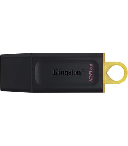 Amazon.com: Kingston 64GB DataTraveler Exodia Flash Drive - DTX