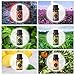 Aromatherapy Essential Oils COOSA Top 6 100% Pure Aromatherapy Oil Therapeutic Grade Upgraded Aroma Starter Fragrant Gift Set for Baby Women Spa Relax
