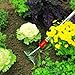 WOLF Garten HUM10 Floral Hoe 2356000