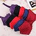 Daxin Women Sexy Underwire Bra Push Up Lace Sheer 32 34 36 38 40B
