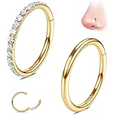 WBRWP G23 Titanium Nose Rings Hoops: 2Pcs Seamless Nose Septum Rings Hypoallergenic Cartilage Earrings Helix Daith Conch Tragus Rook Piercing Jewelry
