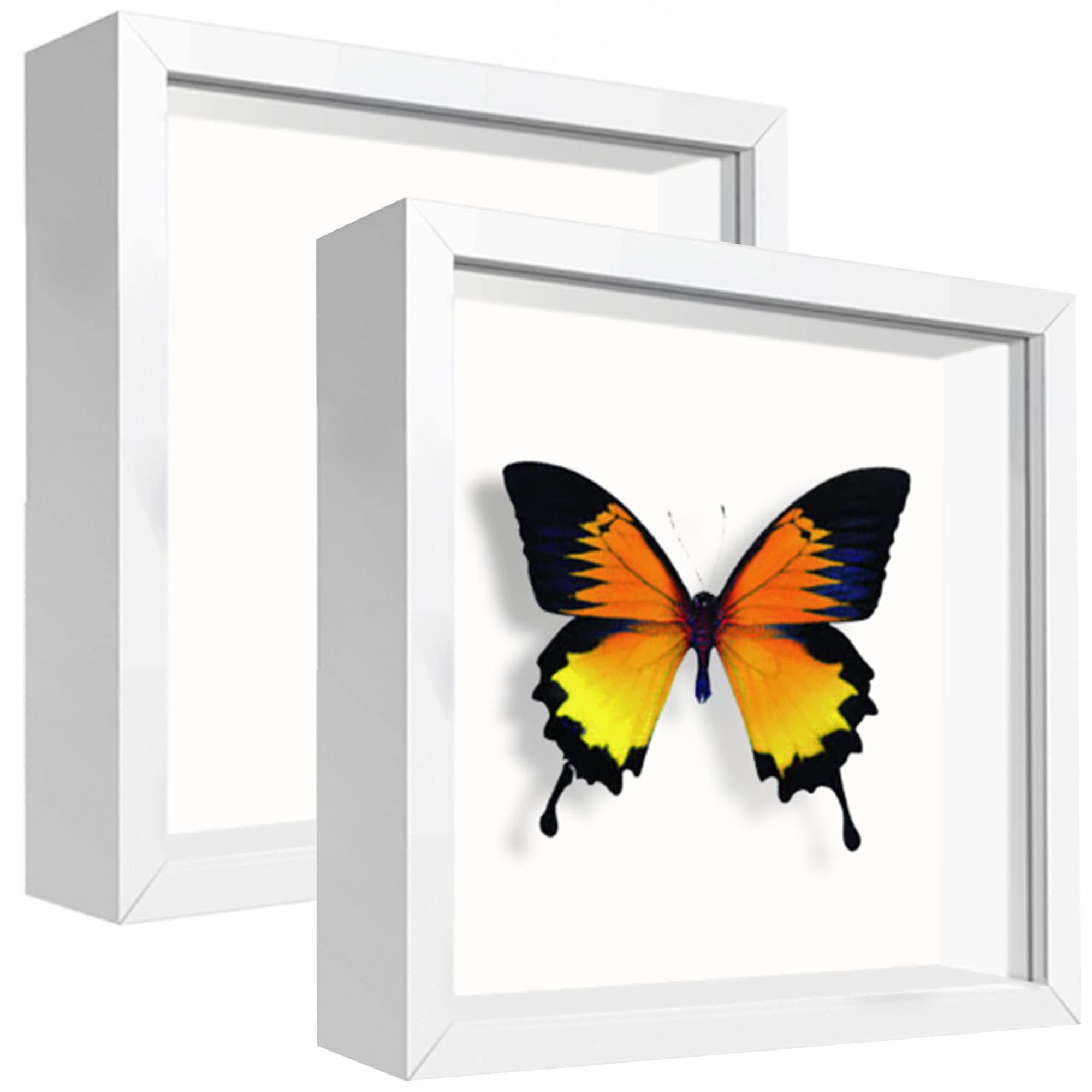 sunmeg 2Pcs 3D Shadow Box 5x5 Picture Frame Wooden Deep Box Square Photo Frames Desktop or Wall Hanging for Medal, Flower & Crafts Display — image 1