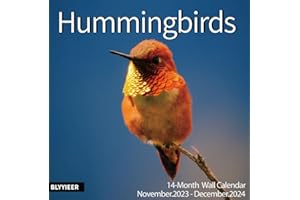 BLYYIEER 2024 Wall Calendar Hummingbird | Nov 2023 -Dec 2024 | 14 Monthly Hangable Hummingbird Calendars | 12" x 24" (Open) | Thick & Sturdy Paper for Organizing & Planning | Home and Office | Giftable |