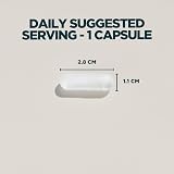 Myvitamins Zinc Magnesium Capsules High-Strength Vitamin B6 270 Unflavoured view 4