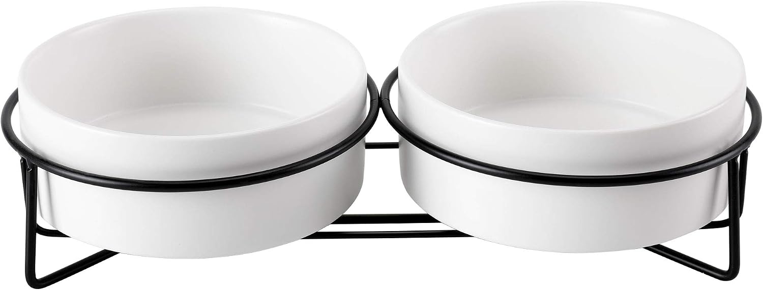 PETTOM Raised Cat Bowls Ceramic Double Cat Food and Water Bowl Set including Steel Stands for Cats and Small Dogs
