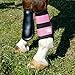 Woof Wear Sport Brushing Boots