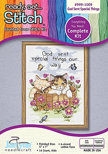 The Janlynn Corporation Ready, Set.Stitch God Sent Special Things Counted Cross Stitch Kit