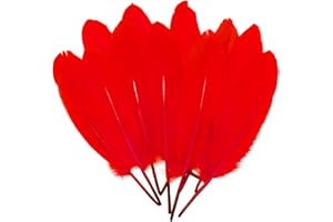 LWINGFLYER 100pcs Red Goose Feathers 6-8 Inch for Crafts Wedding Party Decorations Clothing Hats Accessories Dream Catchers Making