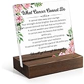 Juoqg What Cancer Cannot Do Acrylic Plaque - Pink Ribbon Inspirational Sign with Wooden Stand, Uplifting Gifts for Breast Cancer Warriors, Survivor Office Decor, Chemo Encouragement Present for Women