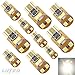 LUYED 10 X Super Bright 2835 6-EX Chipsets Canbus W5W 194 168 2825 Led Bulbs,Xenon White(Same with Standard size)