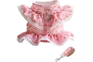 DORA BRIDAL Girl Dog Dress Harness Dog Valentines Outfit Dog Princess Birthday Party Dress Easy Walk Dog Harness and Leash Set for Puppy Doggie Small Medium Dogs Cats